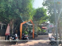 Sen Coffee - Quán cafe sân vườn thông thoáng