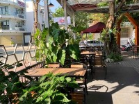 Sen Coffee - Quán cafe sân vườn thông thoáng