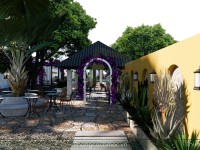Thiết kế quán cafe sân vườn 1700m2 - Victoria Coffee Long An