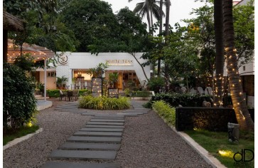 Bí Quyết Thiết Kế Quán Cafe Tropical: Hòa Mình Trong Không Gian Nhiệt Đới