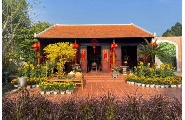 Nghệ Thuật Trang Trí Tết Nguyên Đán Tại Các Quốc Gia Á Đông