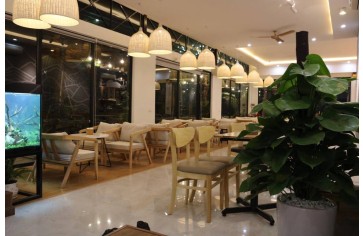 Đom đóm coffee