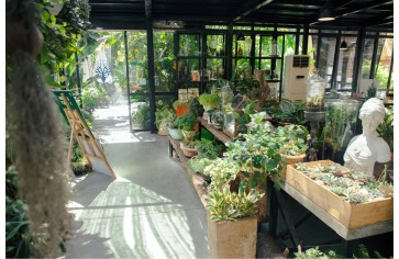 Ánh Sáng Tự Nhiên: Chìa Khóa Cho Một Không Gian Quán Cafe Hoàn Hảo