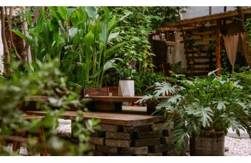 Thiết Kế Quán Cafe Sân Vườn Yên Bình, Thư Giãn Đang Là Xu Hướng Thiết Kế 2024