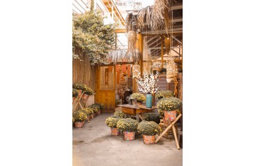 Gợi ý 7 Xu Hướng Trang Trí Tết Cho Quán Cafe Mới Nhất