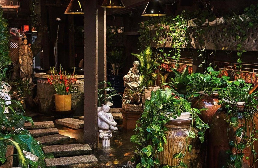 Thiết kế quán cà phê sân vườn: Nghệ thuật tạo không gian thư giãn và kết nối với thiên nhiên