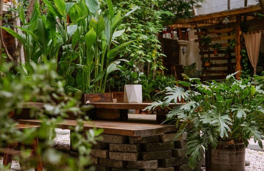 Thiết Kế Quán Cafe Sân Vườn Yên Bình, Thư Giãn Đang Là Xu Hướng Thiết Kế 2024