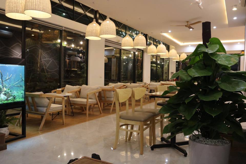 Đom đóm coffee